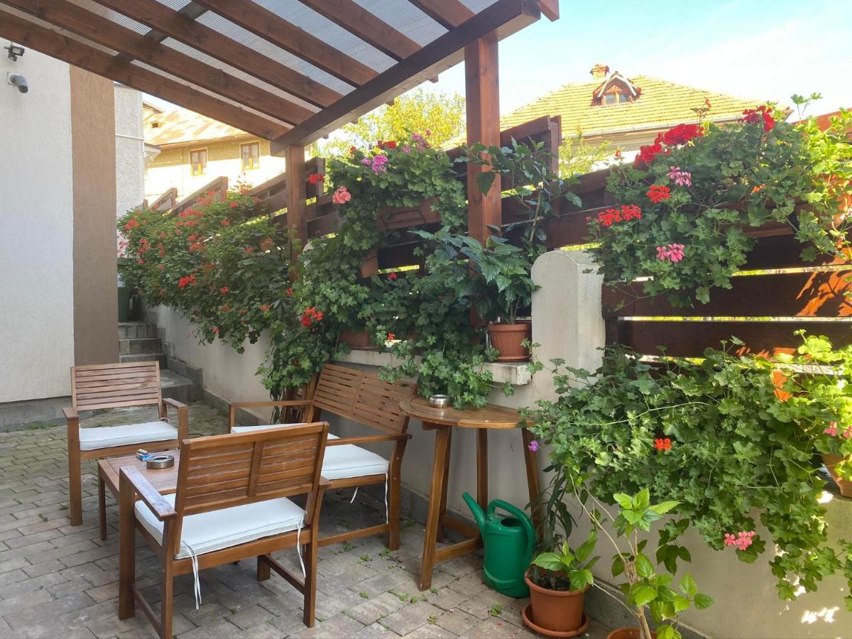 Buzoianu Residence By Holztreppe Μπρασόβ Εξωτερικό φωτογραφία